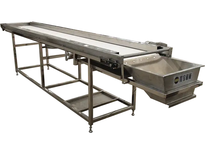 Conveyors for Food Processing