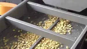 Vibrating Deoiling Machine