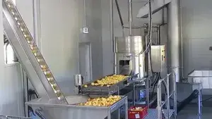 Potato Chip Production Line