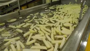 Frozen French Fries Production Line