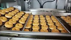 Donut Production Line