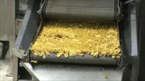 Banana Chip Production Line