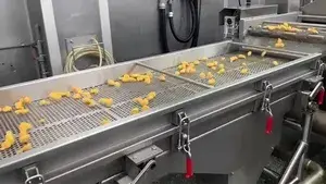 Breaded Products Frying Line