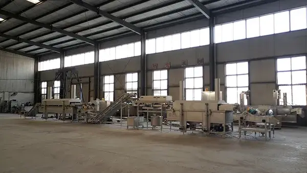 Banana Chip Production Line