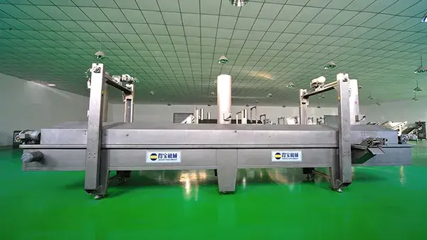 Breaded Products Fryer