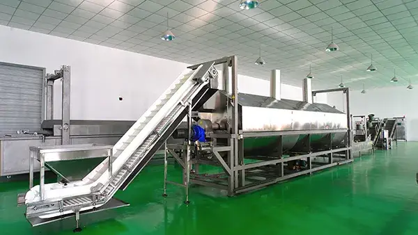 Wire Mesh Belt Conveyor