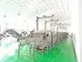 Frozen French Fries Production Line