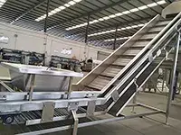 Lifting Conveyor