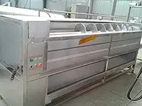 Washing and Peeling Machine