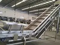 Lifting Conveyor