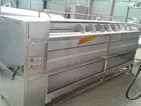 Washing and Peeling Machine