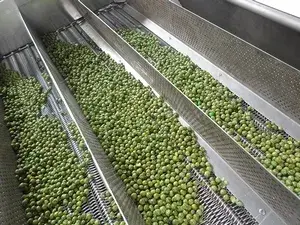 Seasoned Nut Production Line